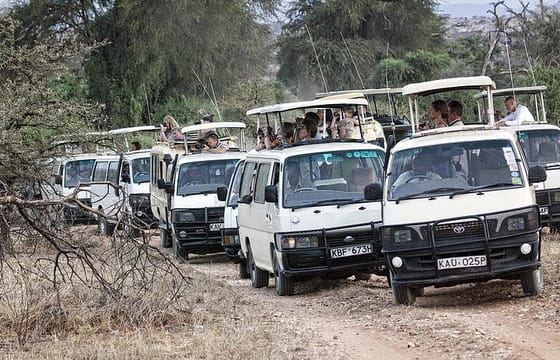 Maasai Mara National Reserve 3 Day Minivan Tour