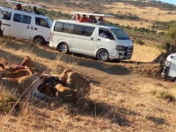 9-Day Private Safari to See the Big Five in Kenya