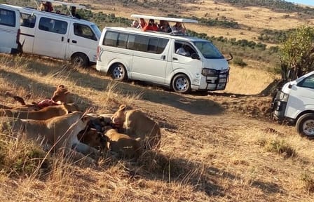 9-Day Private Safari to See the Big Five in Kenya