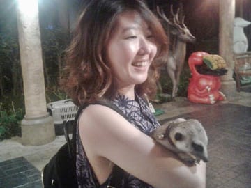Chiangmai Night Safari Ticket & Transfer