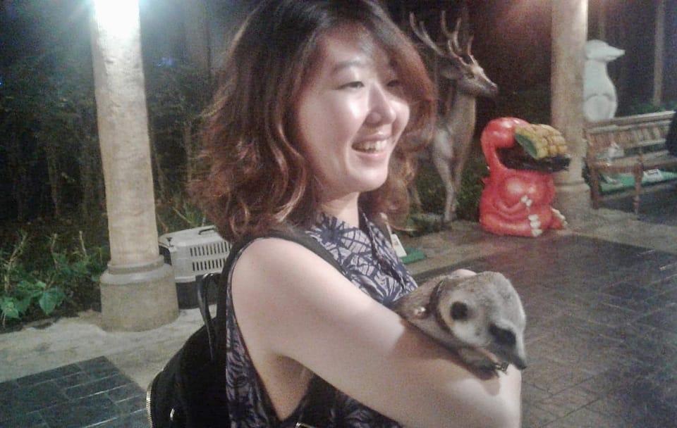 Chiang Mai Night Safari Tour with Transfer Included