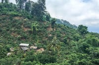 hill tribes