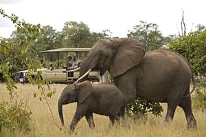 Cape Town 2019: Top Key Tours & Experiences In 3 Day Private Itinerary