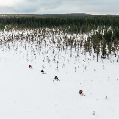 Sähkömoottorikelkkasafari Rovaniemellä - Image 16