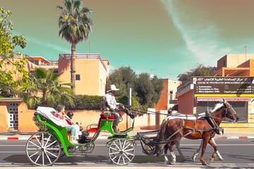 Horse Carriage Tour Through Historic Fes, Morocco