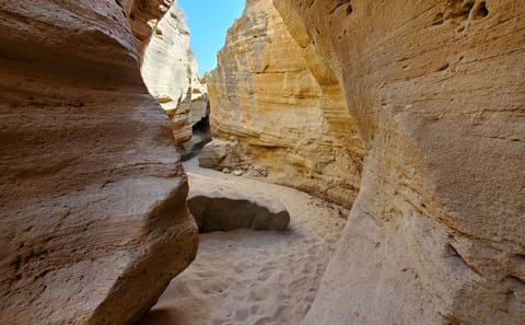 Sandboarding Adventure in Agadir's Stunning Dunes
