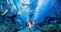 aquarium tickets dubai