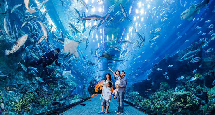 aquarium tickets dubai