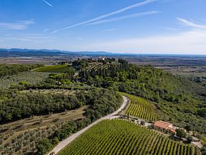 Wine Tasting with Local Food Pairing near Livorno