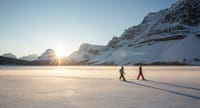 Athabasca Glacier