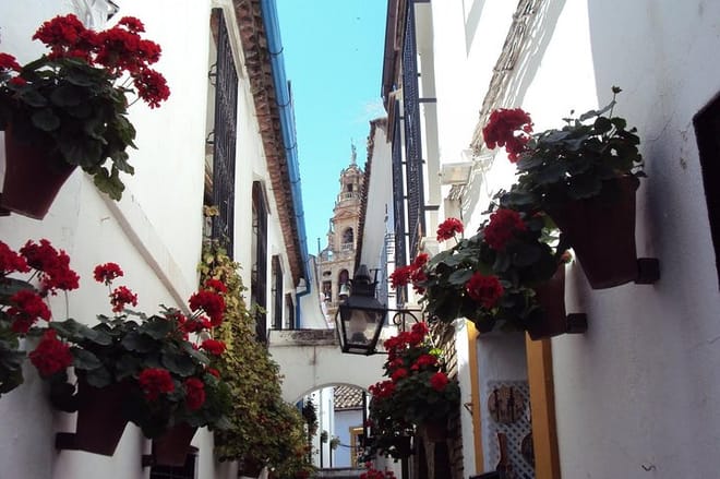 Flowers Street C&oacute;rdoba