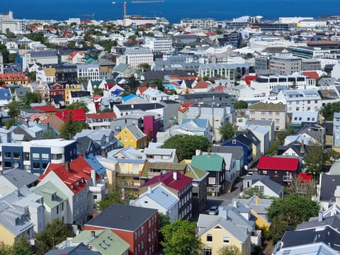 Reykjavik Highlights Group Bike Tour, photo 2