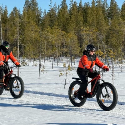 Electric Fat Biking at a Reindeer Farm in Rovaniemi - Image 11