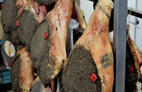 Guided Food Tour with Wine Tastings in Genoa 4