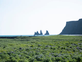 South Coast Tour & Vík Lava Show, photo 15