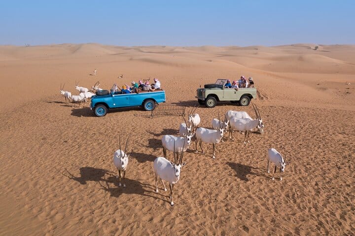 Hot Air Balloon Ride, Vintage Land Rover Drive and Breakfast 6
