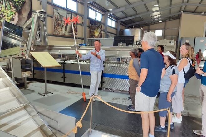 Private Tour: Agios Nikolaos, Spinalonga, Villages & Olive Oil  8