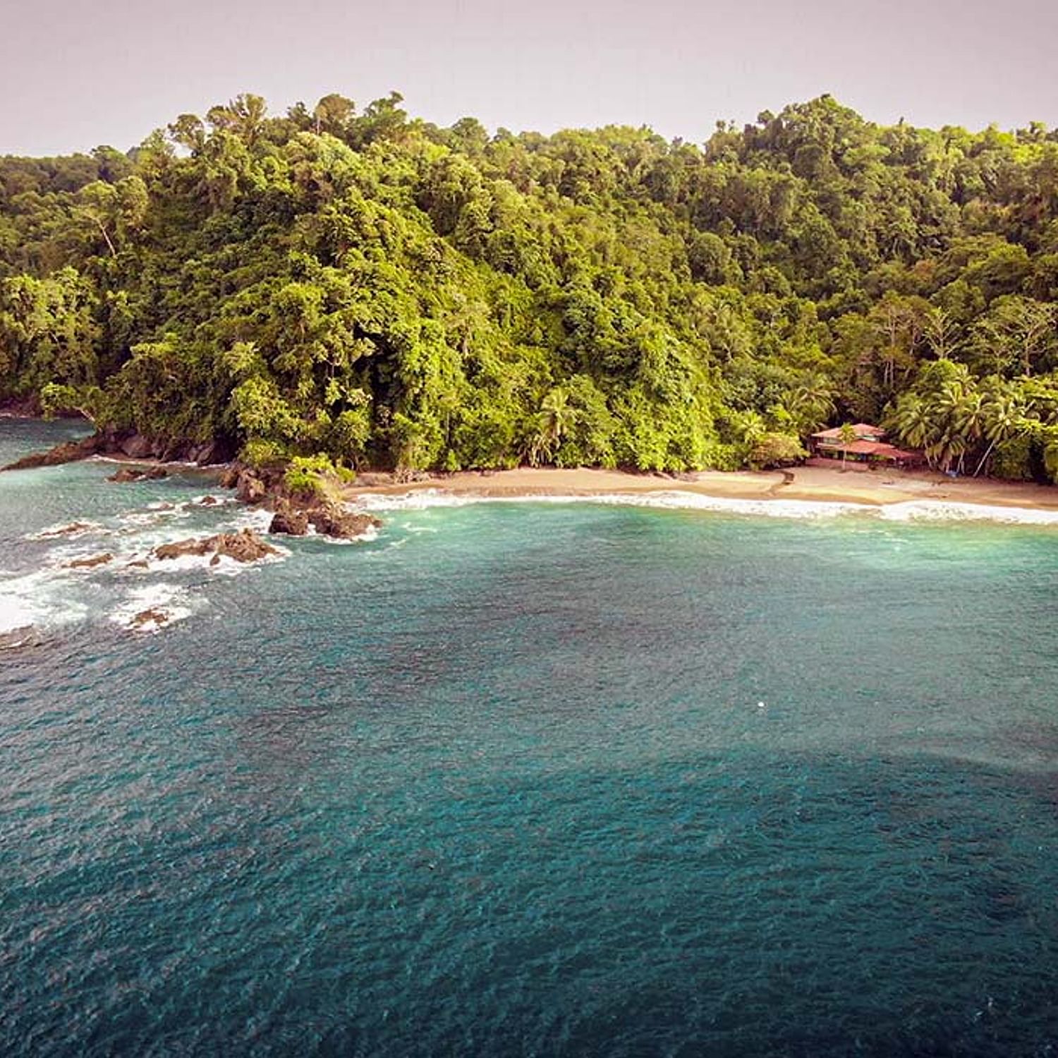 Caño Island Biological Reserve snorkeling tour from Uvita