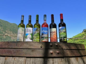 4x4 Adventure and Wine Tasting Tour in Campanario, Madeira