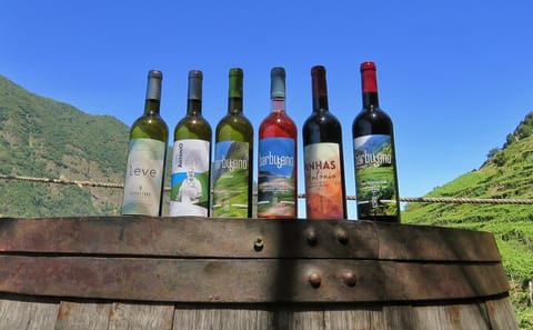 4x4 Adventure and Wine Tasting Tour in Campanario, Madeira