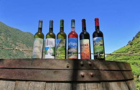 4x4 Adventure and Wine Tasting Tour in Campanario, Madeira