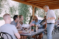 Lunch in Organic Farm Private Tour: Food & Wine Experience in Tuscany	 1