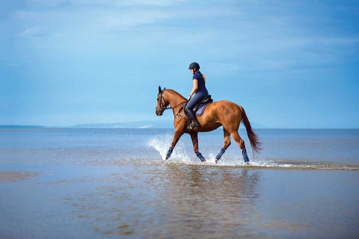 3-Hour Swim with Horses Experience in Hurghada