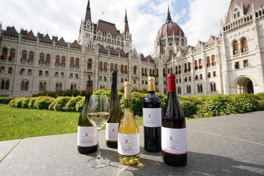 Private Budapest Sightseeing Tour Including Etyek Wine Tour with Lunch