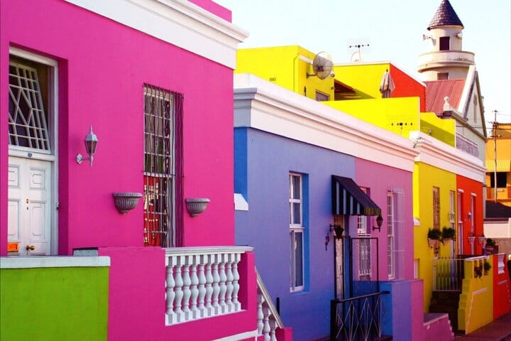 Table Mountain , Boulder Beach and Cape point Tour from Cape Town 4