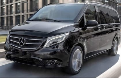 1 Hour Camel Ride in the palm groves of Marrakech