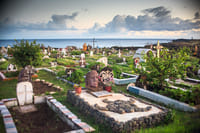 2 Half Days & 2 Full Days Private Tours | OPTION A 9