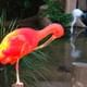 Bird Park