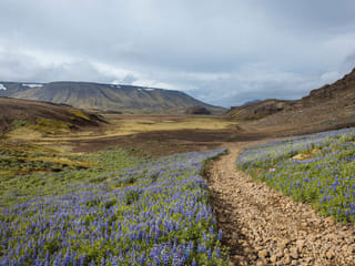 Reykjanes Peninsula | Private Tour | Photo Package Included, photo 18