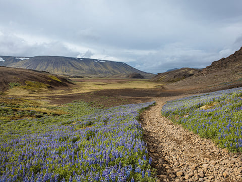 Reykjanes Peninsula | Private Tour | Photo Package Included, photo 18