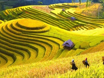 One Day Sapa Tour to Lao Chai and Ta Van Villages