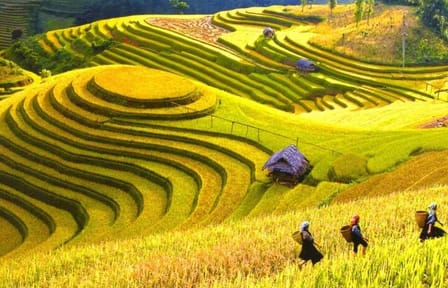1 Day Sapa Tour Explore Y Linh Ho And Lao Chai And Ta Van Village