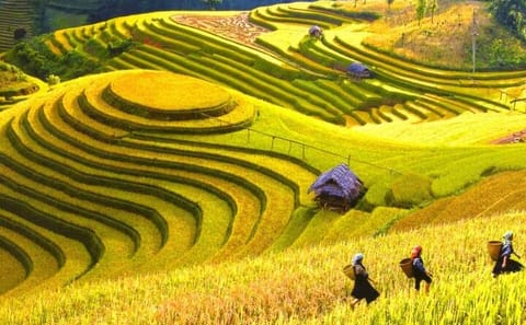 One Day Sapa Tour to Lao Chai and Ta Van Villages