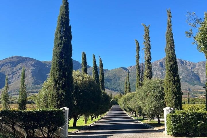 Franschhoek Wine Tram and Wine Tasting Tour with Tram Ticket