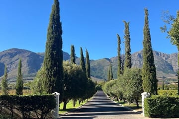 Franschhoek Wine Tram and Wine Tasting Tour with Tram Ticket