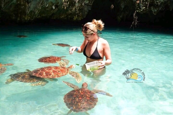 Zanzibar Prison Island, Jozani Forest and Salaam Cave Sea Turtles