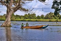 Pidurangala & Hiriwaduna Village Tour from Kandy 4
