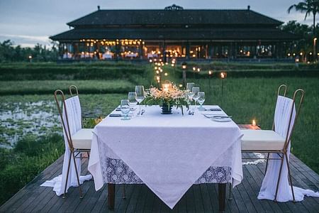 Romantic Dinner in a Scenic Rice Paddy Field in Nha Trang