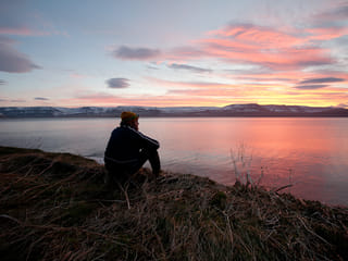 Midnight Sun & Arctic Foxes, photo 17