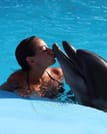 Premium 5 Minutes Dolphin Swimming Experience - Hurghada 5