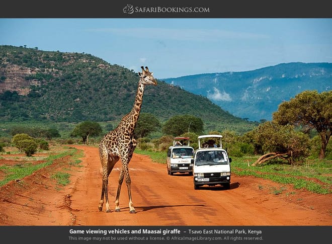 Day tour to Tsavo East National park from Mombasa with pickup photo 6