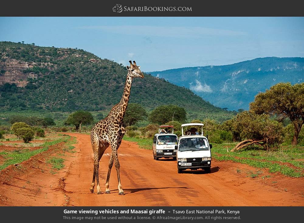 Day tour to Tsavo East National park from Mombasa with pickup 6