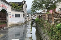 Full-Day Private Tour of Hongcun and Xidi Village with Pick Up 9