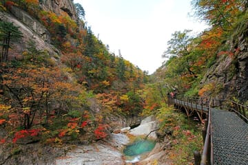 Private Day Tour of Mt. Seorak National Park and Sokcho