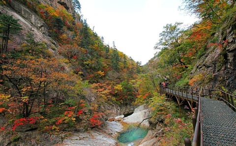 Private Day Tour of Mt. Seorak National Park and Sokcho