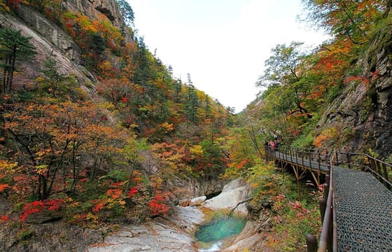 Private Mt.Seorak national park Tour and Sokcho